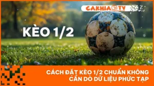 Cách Đặt Kèo 1/2 Chuẩn Không Cần Dò Dữ Liệu Phức Tạp